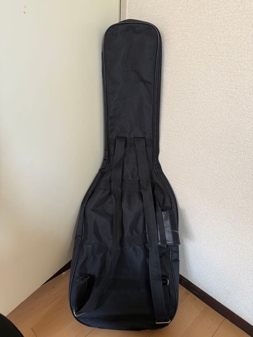 【最終値下げ】バッカス テレキャスターモデル ユニバースシリーズ