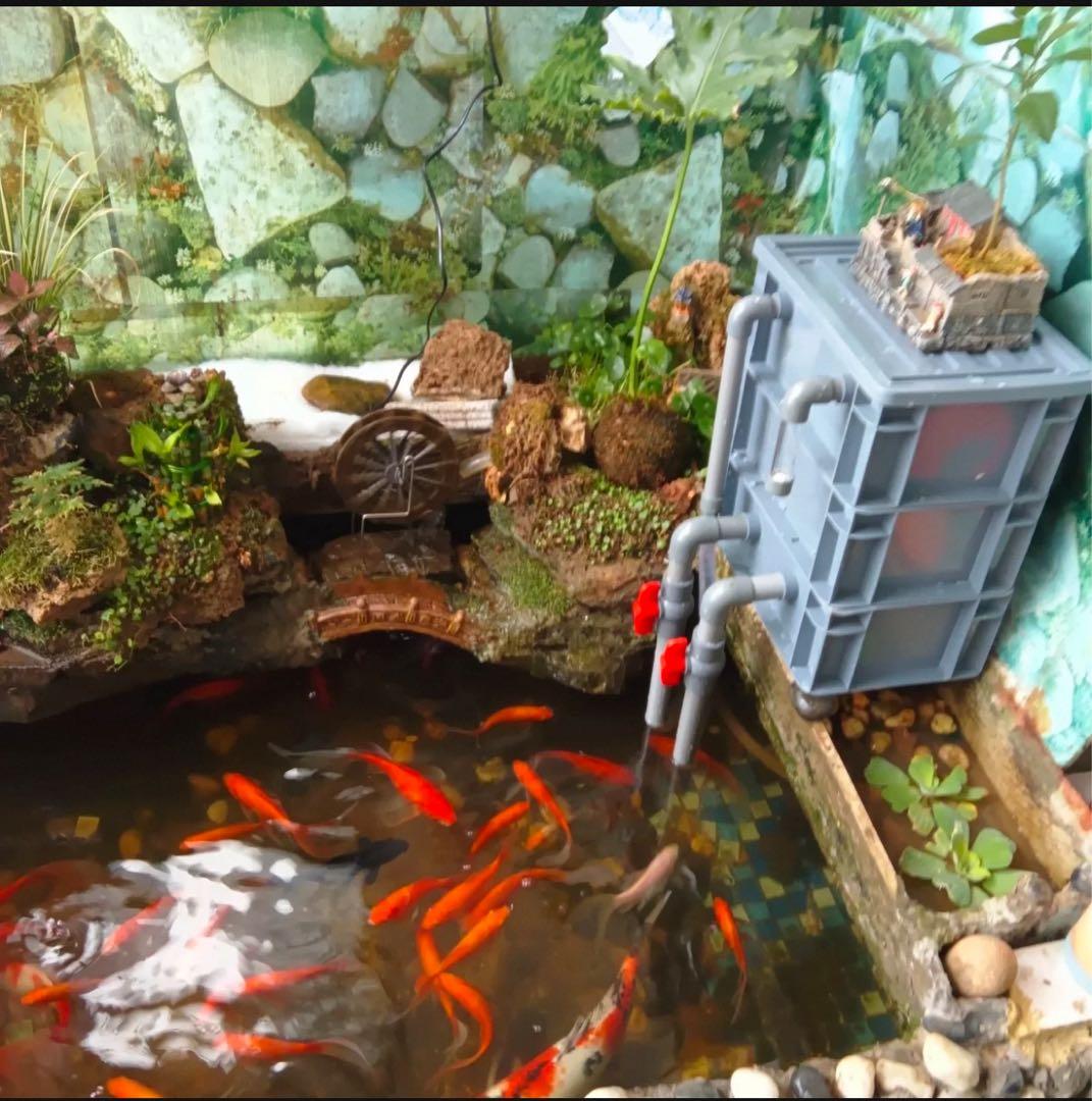 三段式万能濾過器装置　大型水槽池濾過層濾過飼育 アクアリウム外部フィルター