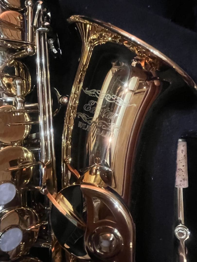 Eastar アルトサックス お手入れセット、スタンド付き AS-|||