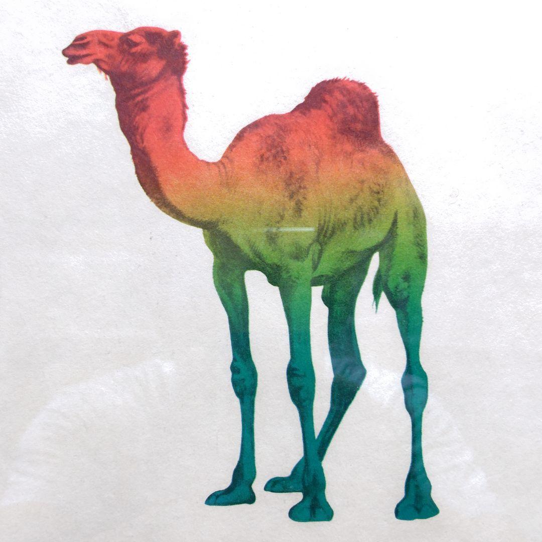 版画 HC 木村光佑 らくだ CAMEL 真作 直筆サイン 額入り