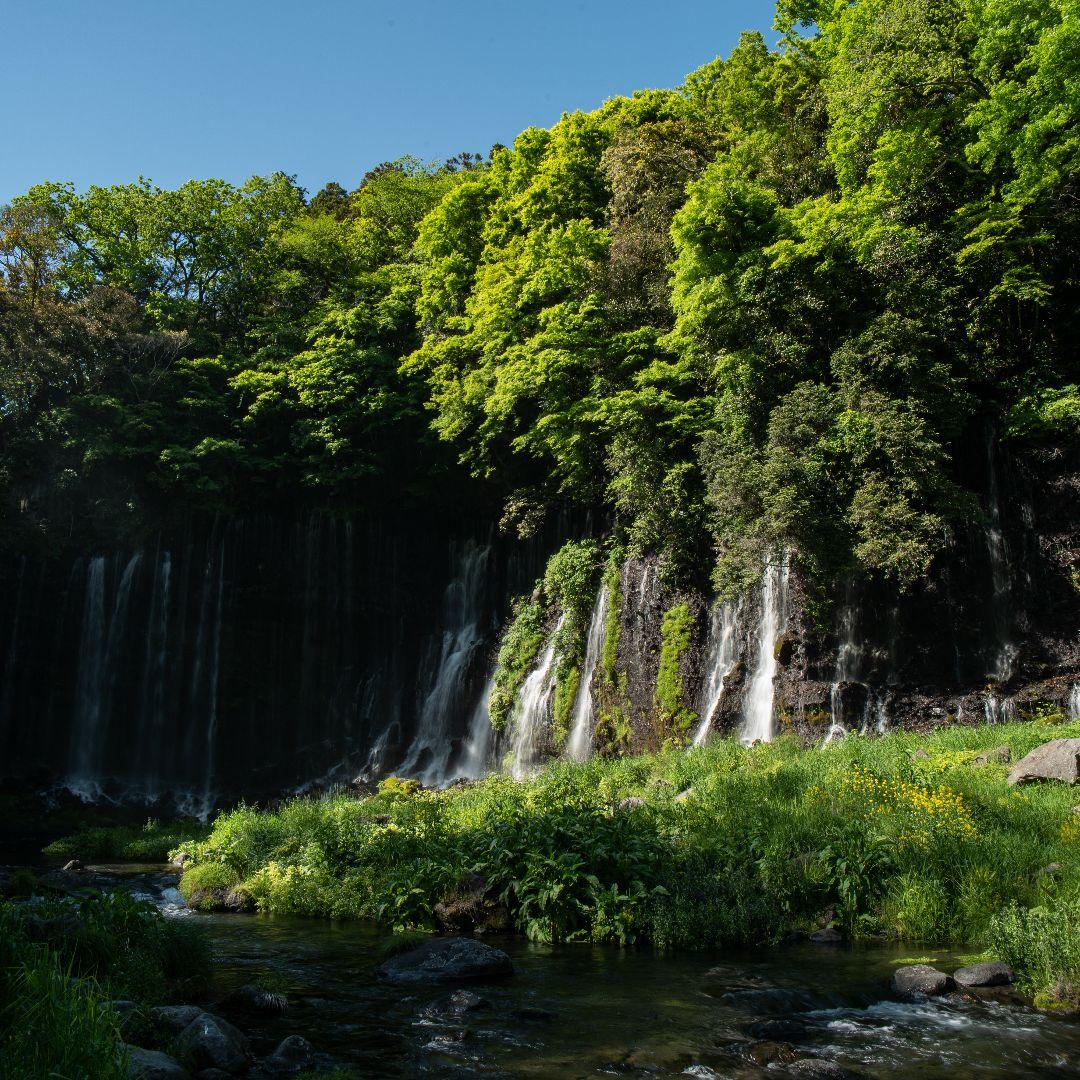 セール中)Carl Zeiss Jena flektogon 20mm f2.8