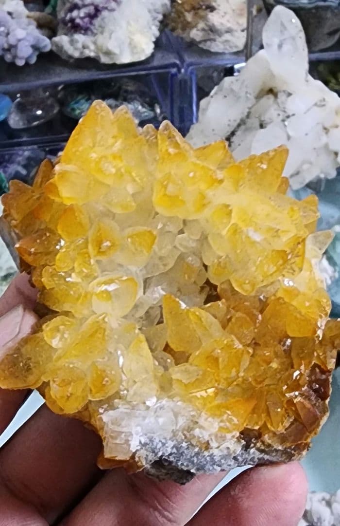 黄金の樹枝状歯方解石