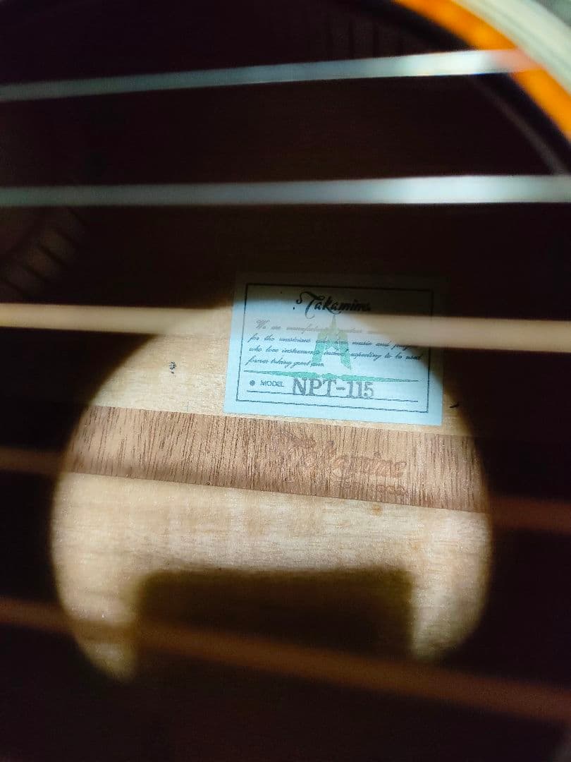 Takamine NPT-115 エレアコ 美品 タカミネ ハードケース付