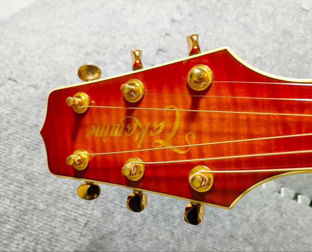 Takamine NPT-115 エレアコ 美品 タカミネ ハードケース付
