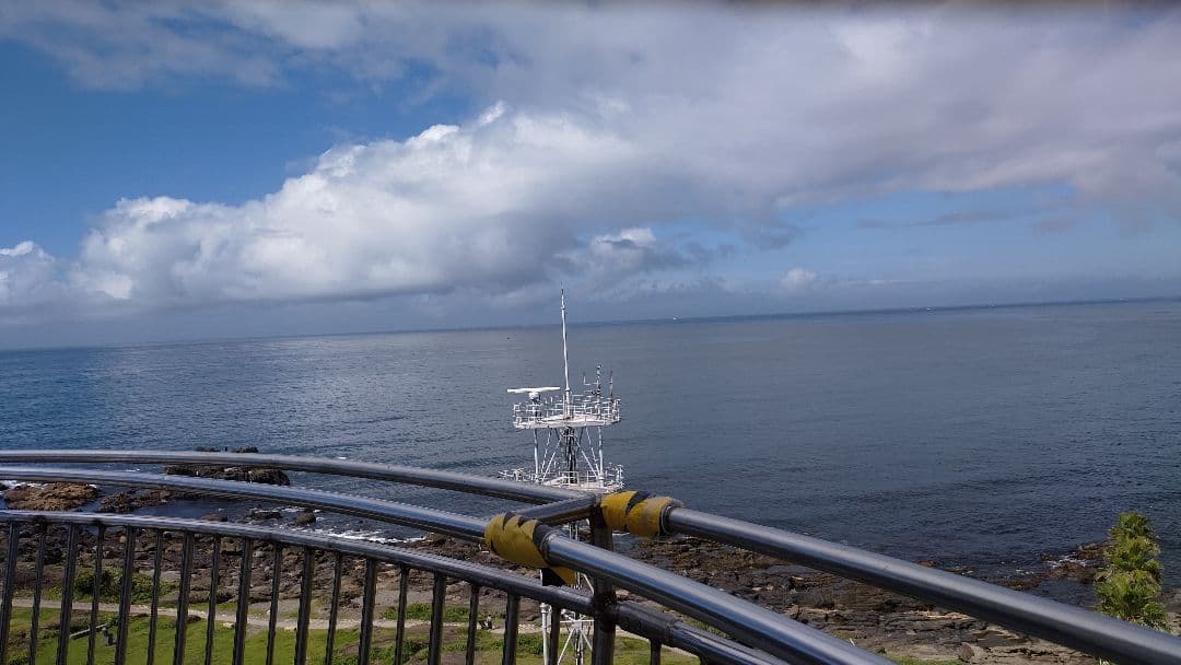 専用です！フェイラー　バッグイン　ミニバッグ　ハイジ