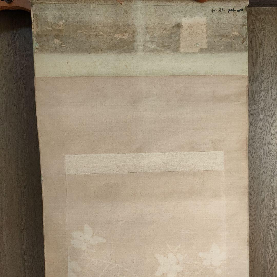 【新春 週末特価】掛け軸　花　鳥　日本画　花鳥　絵の部分綺麗な状態です　印有り