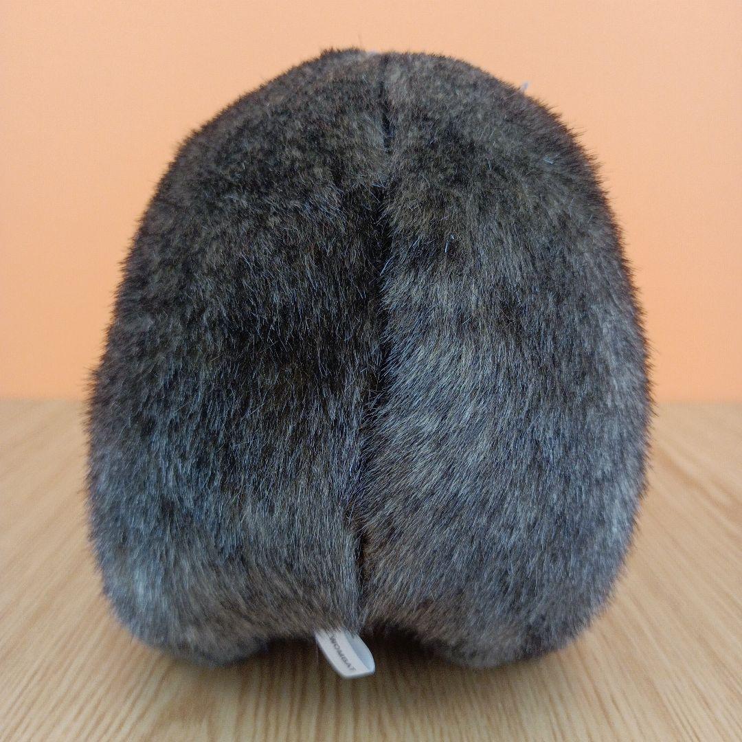 茶臼山動物園 コモンウォンバット ウォレス モモコ ぬいぐるみ マスコット 2点