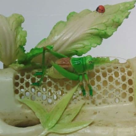 竹と白菜とバッタの彫刻　牛骨製　飛蝗　置物　中国美術　ミ10