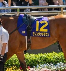 JRA 【 競馬実ゼッケン】 G1皐月賞 ダノンタッチダウン号 川田将雅J