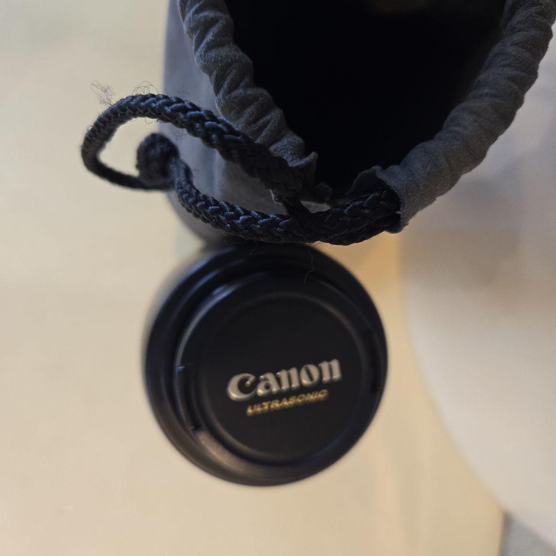 望遠レンズ/デジタル一眼レフカメラ/Canon EF75-300mm