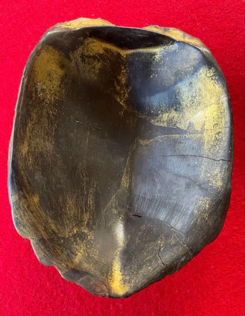 美術作品・亀の彫像・小物入れ・骨董品・松立斉・亀彫刻・印籠・彫刻・美術品