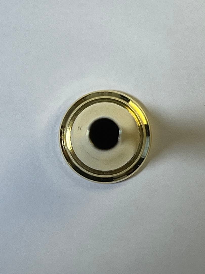 【ドカンと値下げ！】ホルン 金メッキ（ティルツMcWilliam 2アメリカン）