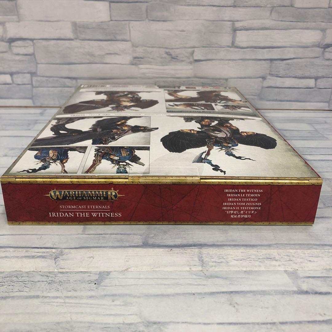 o563 見届ける者　イリダン