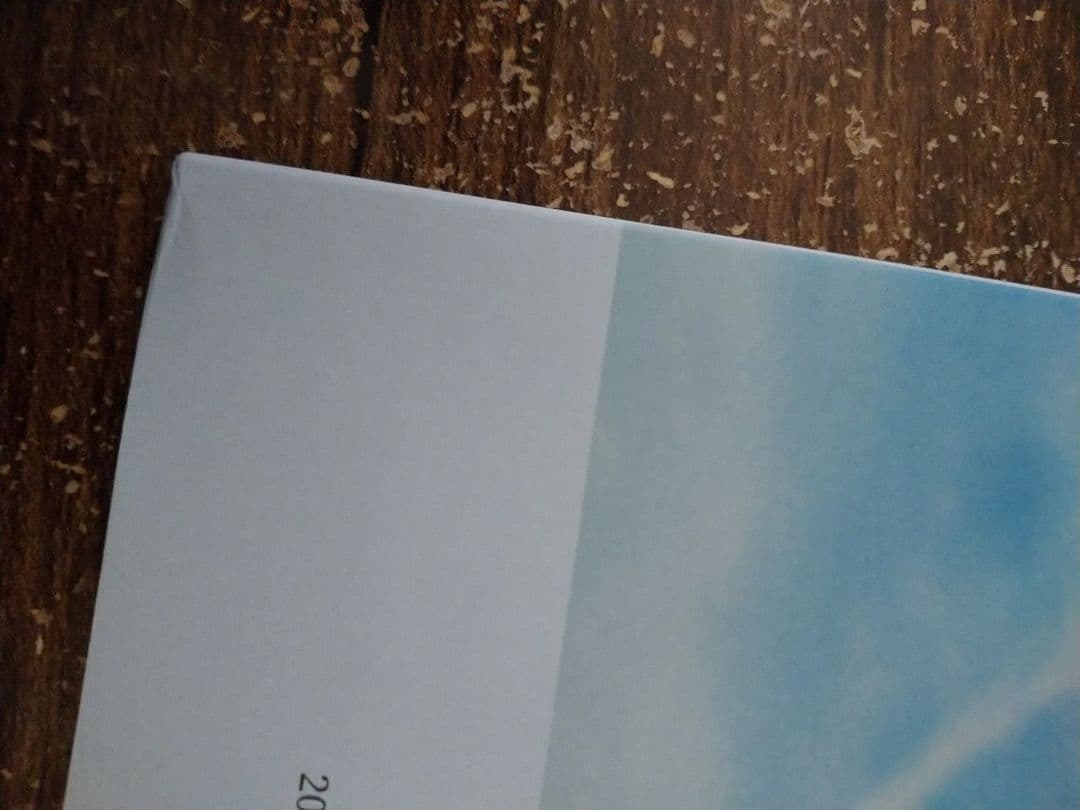 リリー楽綺団 るいしゃむ フォトブック