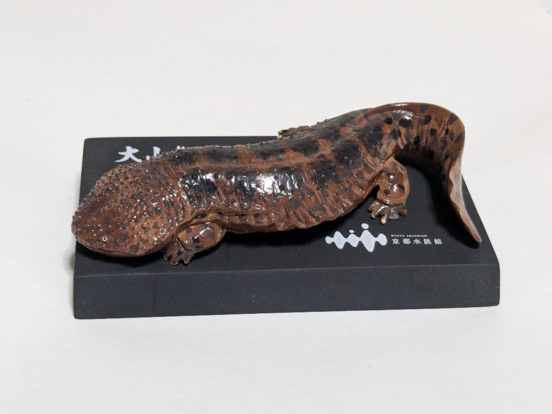 海洋堂 京都水族館限定フィギュア オオサンショウウオ