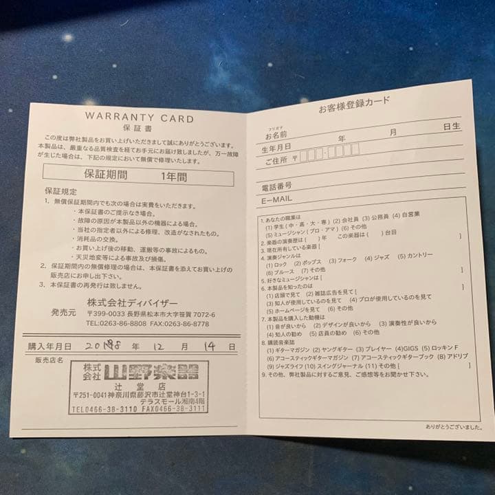 STRYMON ストライモン BIGSKY Reverb ビックスカイ　リバーブ