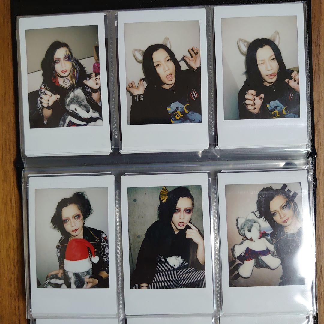 コドモドラゴン　チェキ　No.1（97枚セット）ばら売り可（コドモ専用ケース入）