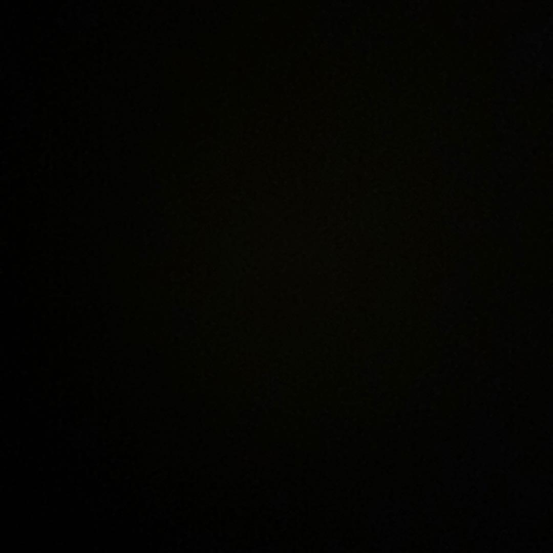 RIMOWA パイロット 4輪