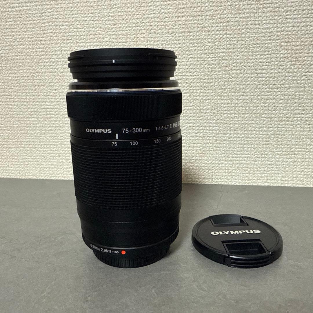 オリンパス M.ZUIKO DIGITAL ED 75-300mm4.8-6.7
