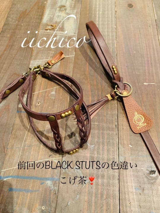 犬用　リード＆ハーネス　【本革】ブラウンSTUTS 2点 SET❣️