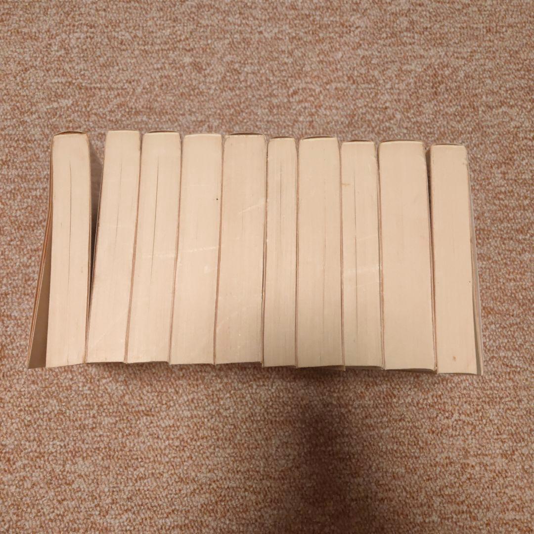 岩波文庫全10巻　南総里見八犬伝　小池藤五郎校訂