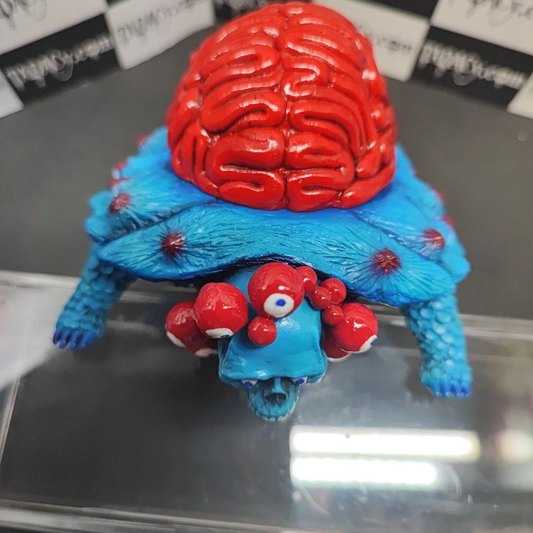 105ブレインタートル