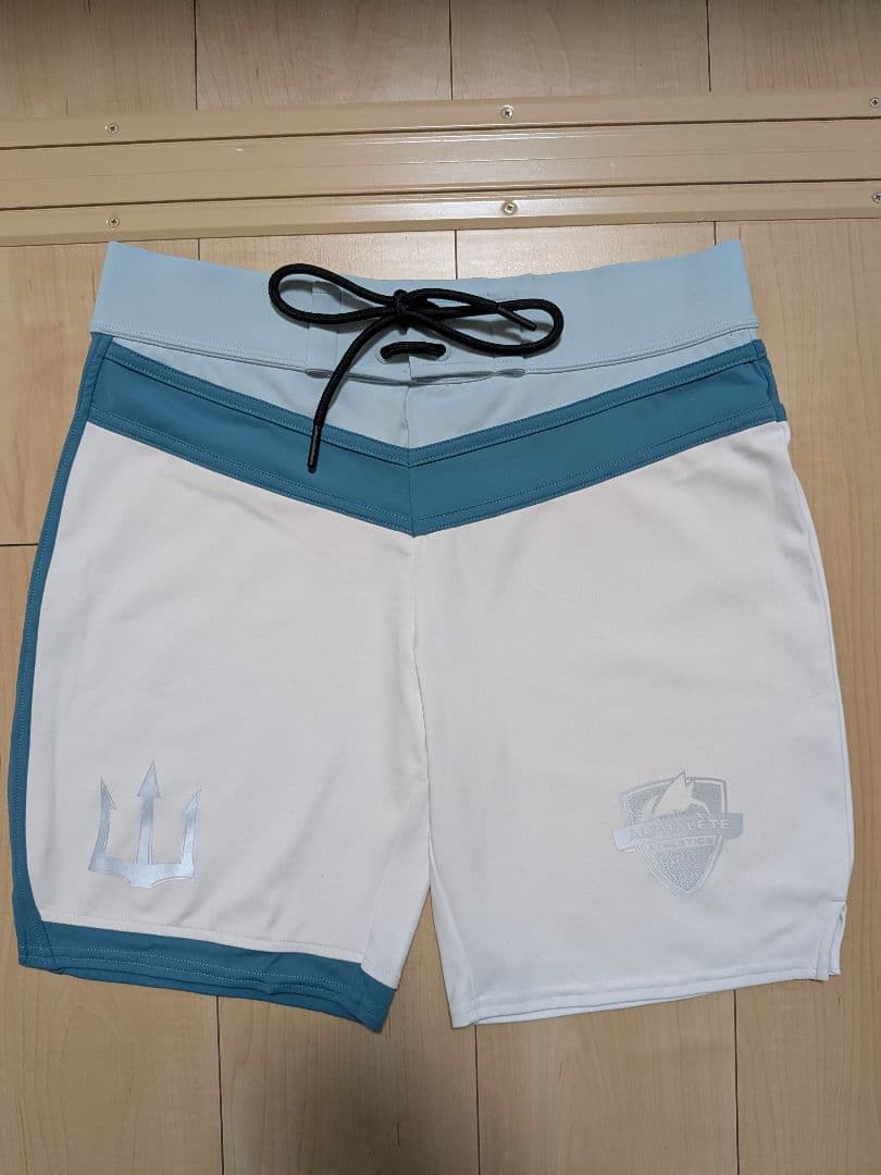 アルファリート　サーフパンツ　28インチ　フィジーク