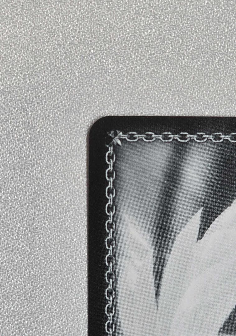 シエン@プロフィール必見様　リクエスト2点おまとめ商品 ヴァイスシュヴァルツ