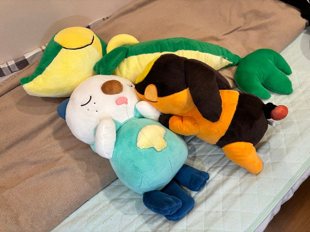 ポケモンセンター初夢 すやすやぬいぐるみ ツタージャ ミジュマル ポカブ セット