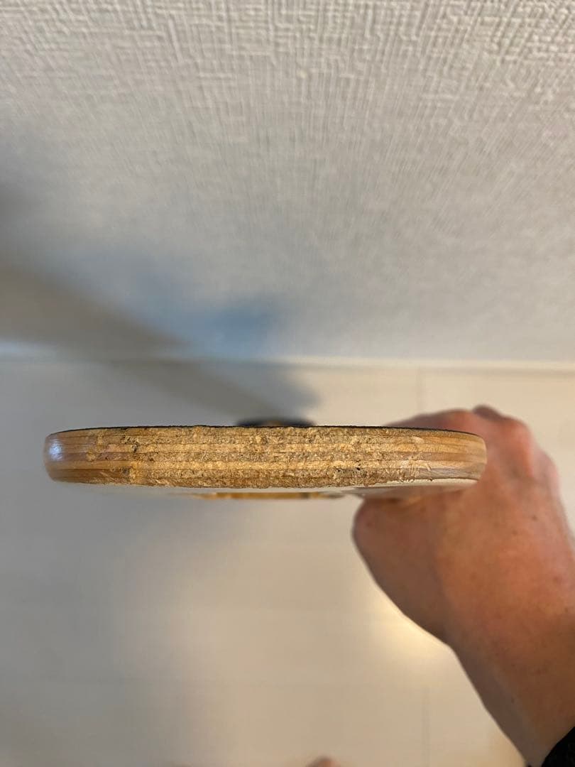 デッキ　ランドヤッツ　LANDYACHTZ