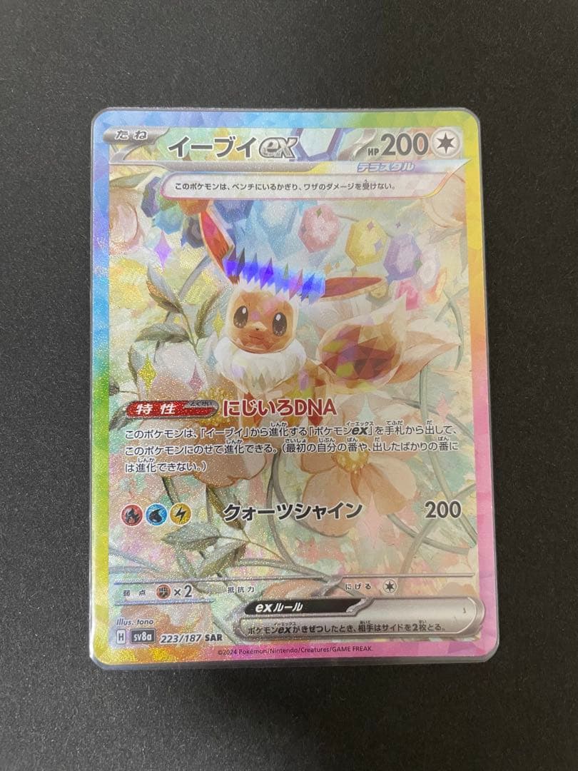 テラスタルフェス　ブイズ　SAR 9枚セット