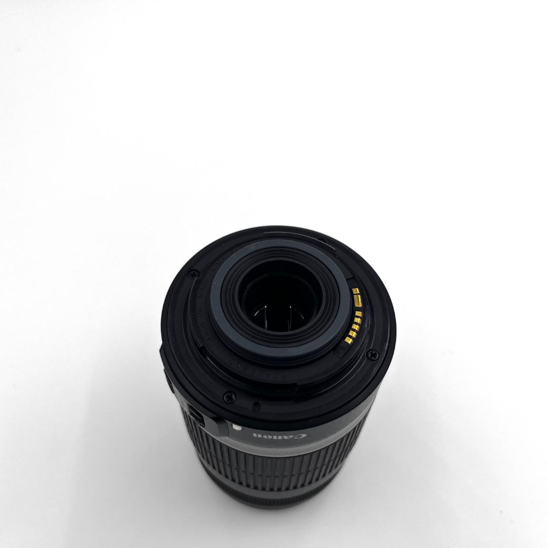 Canon EF-S 55-250mm IS 望遠レンズ 手振れ補正 #307