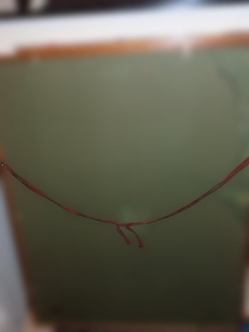 パブロ・ピカソ作品 花束を持つ手 輪舞　2作品　edition　サインなし