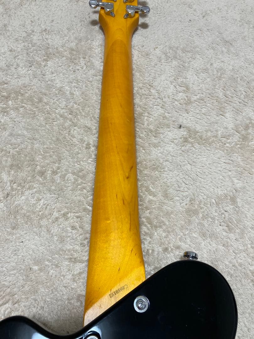 【美品】Pignose ピグノーズ PGG-200