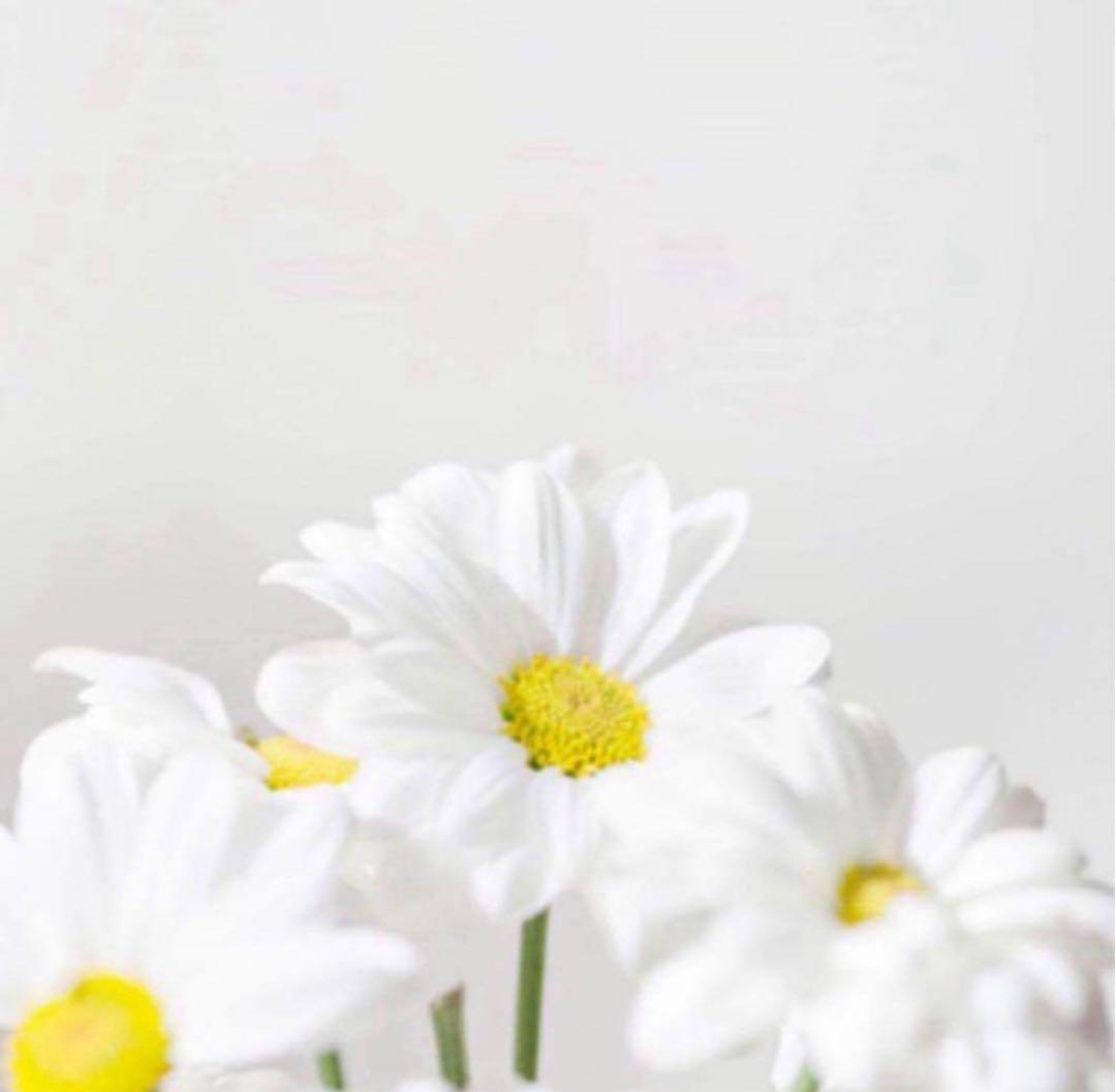 かっこ リンクル ミルク