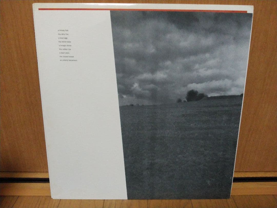 THE HAFLER TRIO．A THIRSTY FISH．レコード！