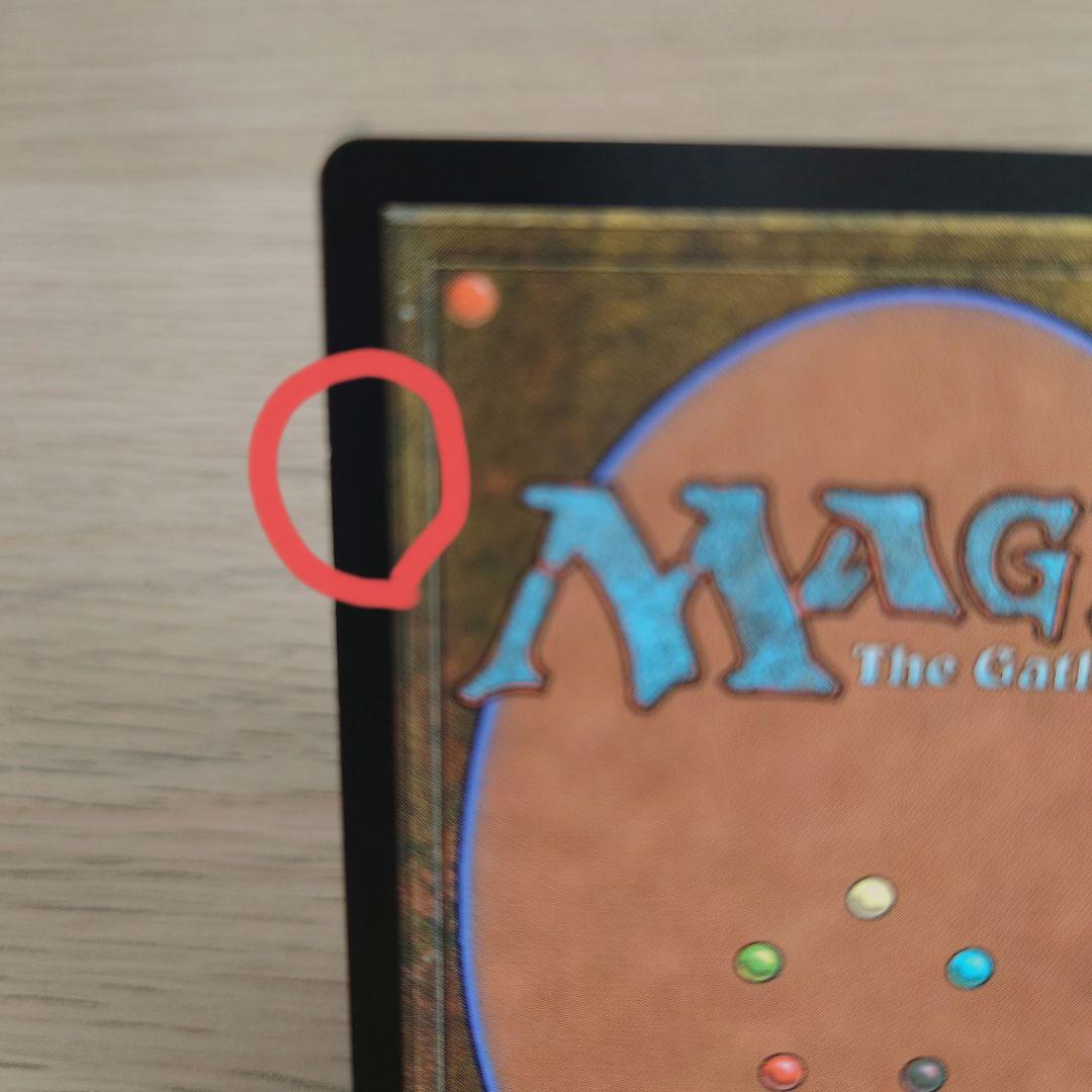 MTG【湿った墓】Zendikar Expeditions 英語 foil