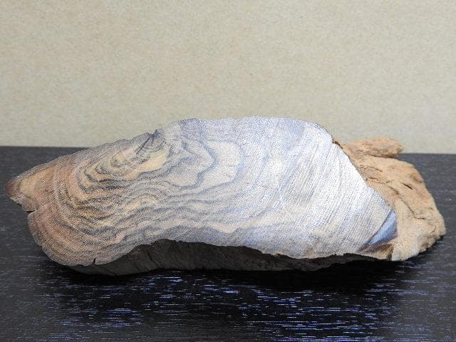 香木　真那賀　MA32