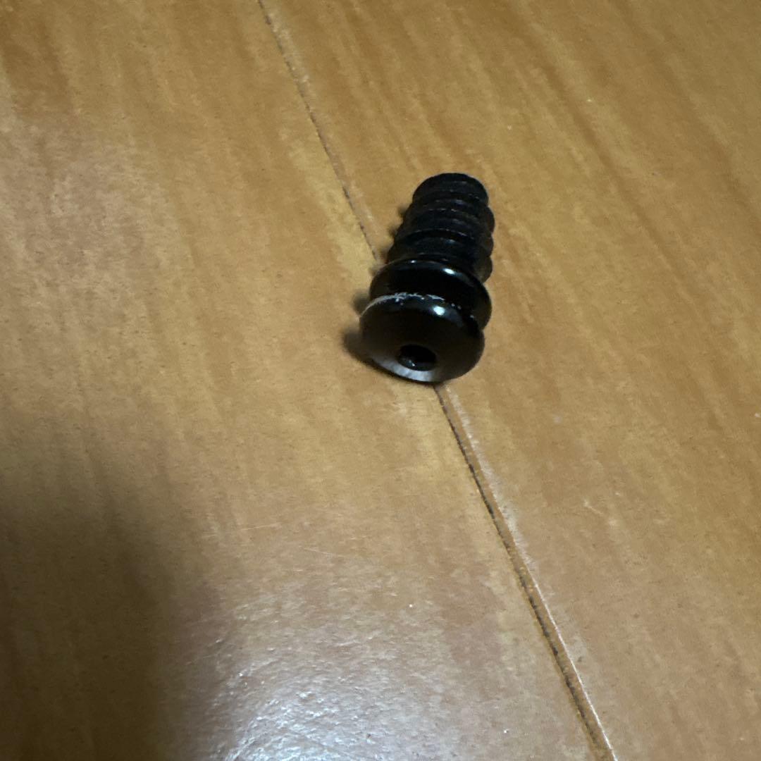 レア　Tacoma P1パプース　ナスカケース付き