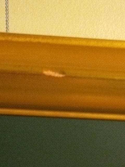 緑と金の木製額縁（水彩画用）