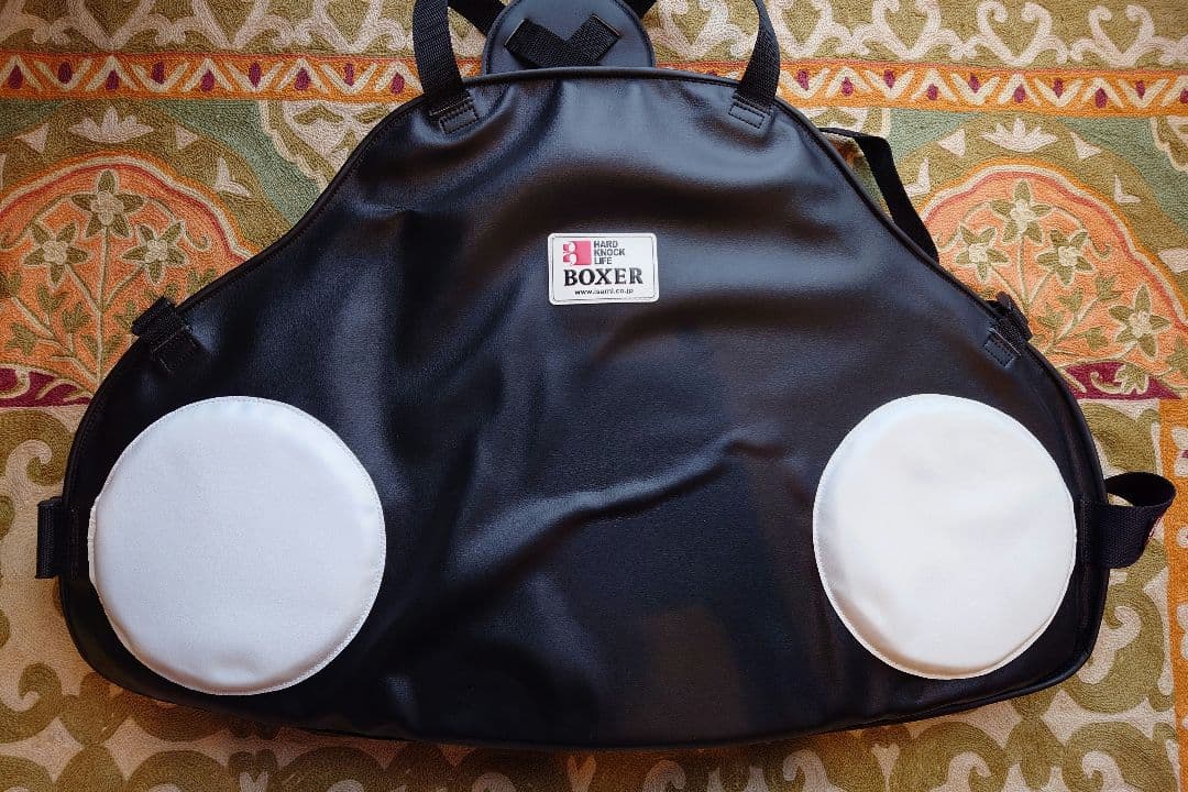 【製造終了】ISAMI(イサミ) ボクサープロテクター 空手 ボクシング 防具