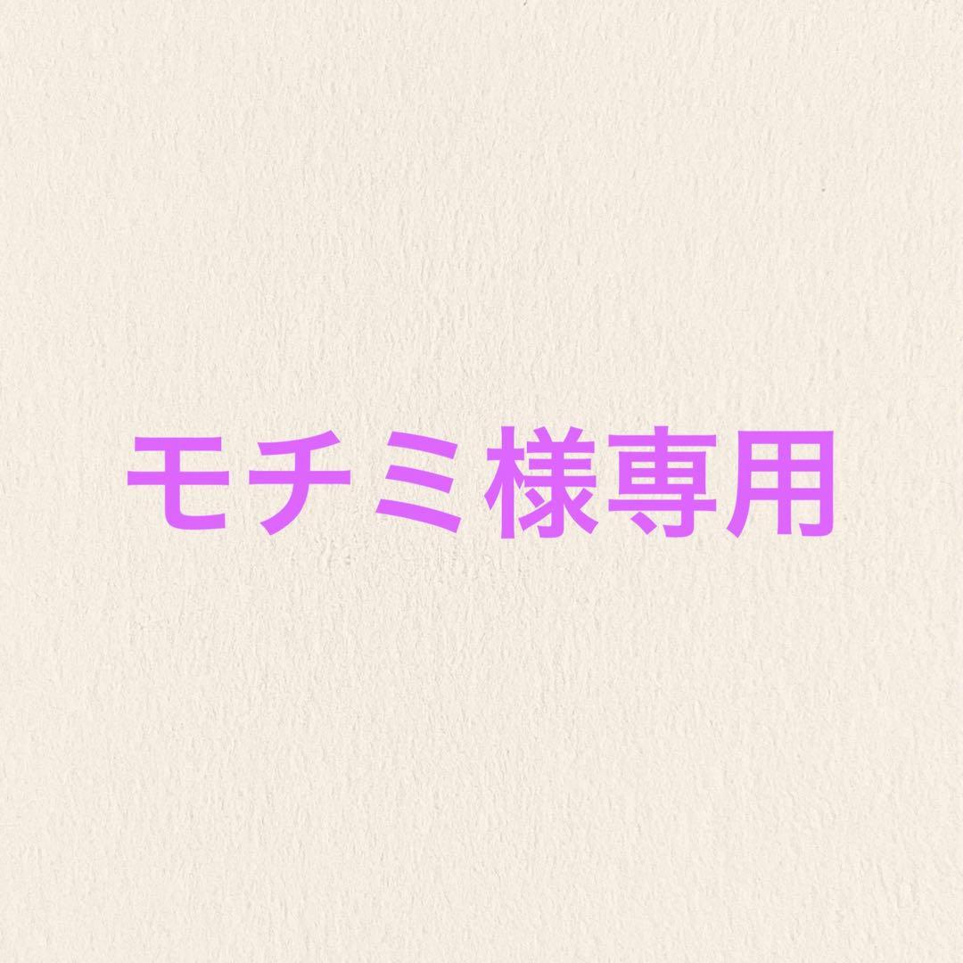 【モチミ】進撃の巨人 プリンセスカフェ ハンジ