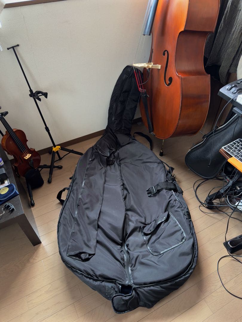 自宅用Gliga Gems Ⅱ G/Cコントラバス(国内4/4サイズ)