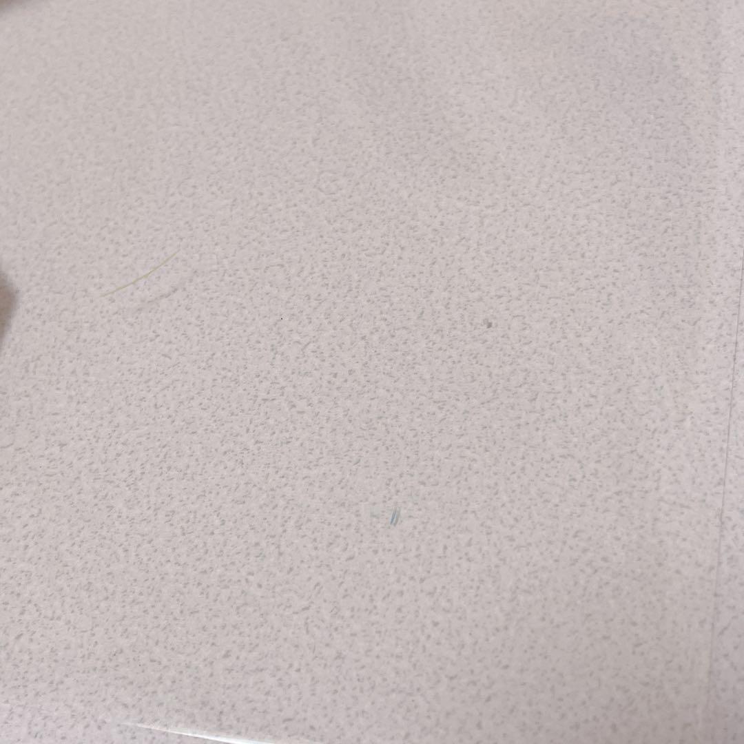 エヴァンゲリオン プリント倶楽部 限定 レトロ 手描き セル画 渚カヲル