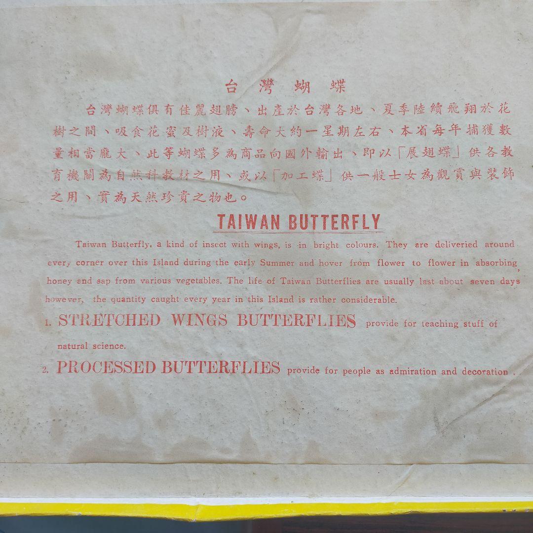 台湾産蝶類 標本 No. 100　101枚　中国