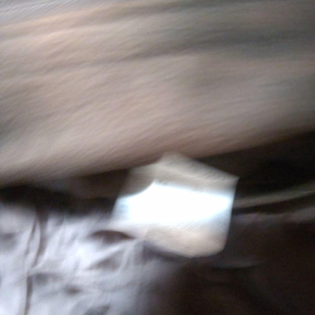 トルネードマート/LLサイズ/レオパード柄/シングルライダースジャケット/