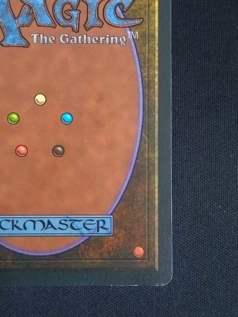 MTG Bayou 英語 リバイズド 3ED