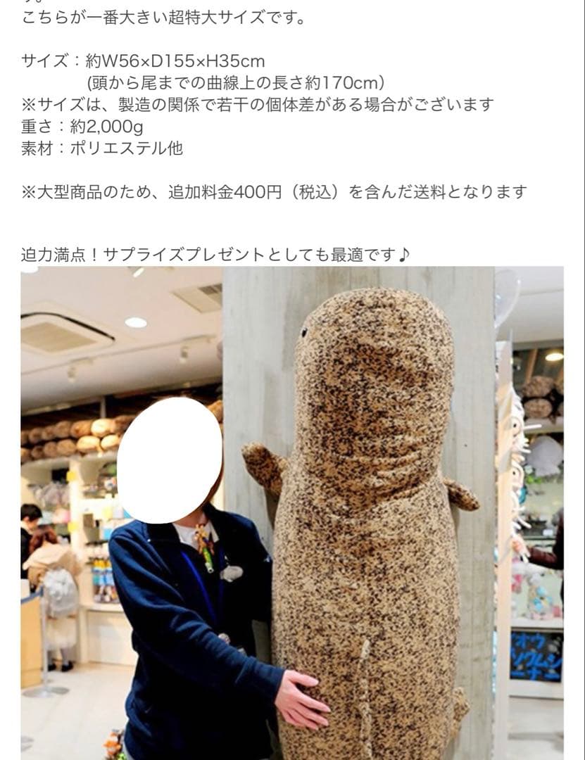 オオサンショウウオ　ぬいぐるみ　京都水族館