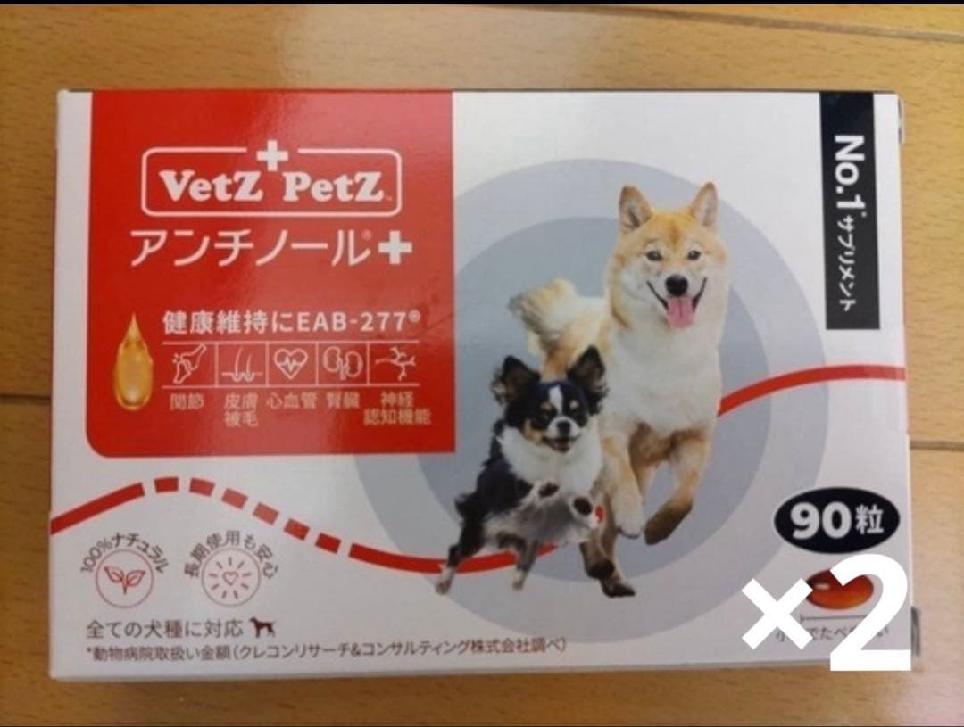 アンチノールプラス 90粒×2