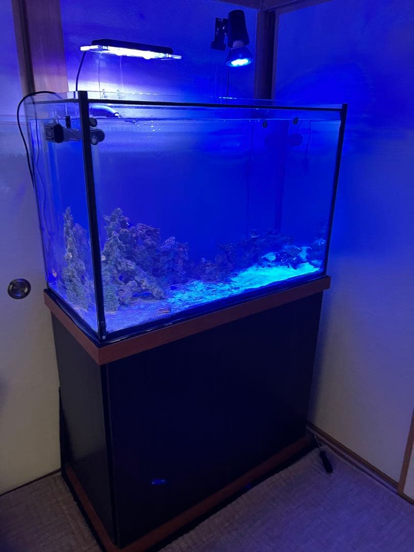 オーバーフローガラス水槽セット　引き取り限定